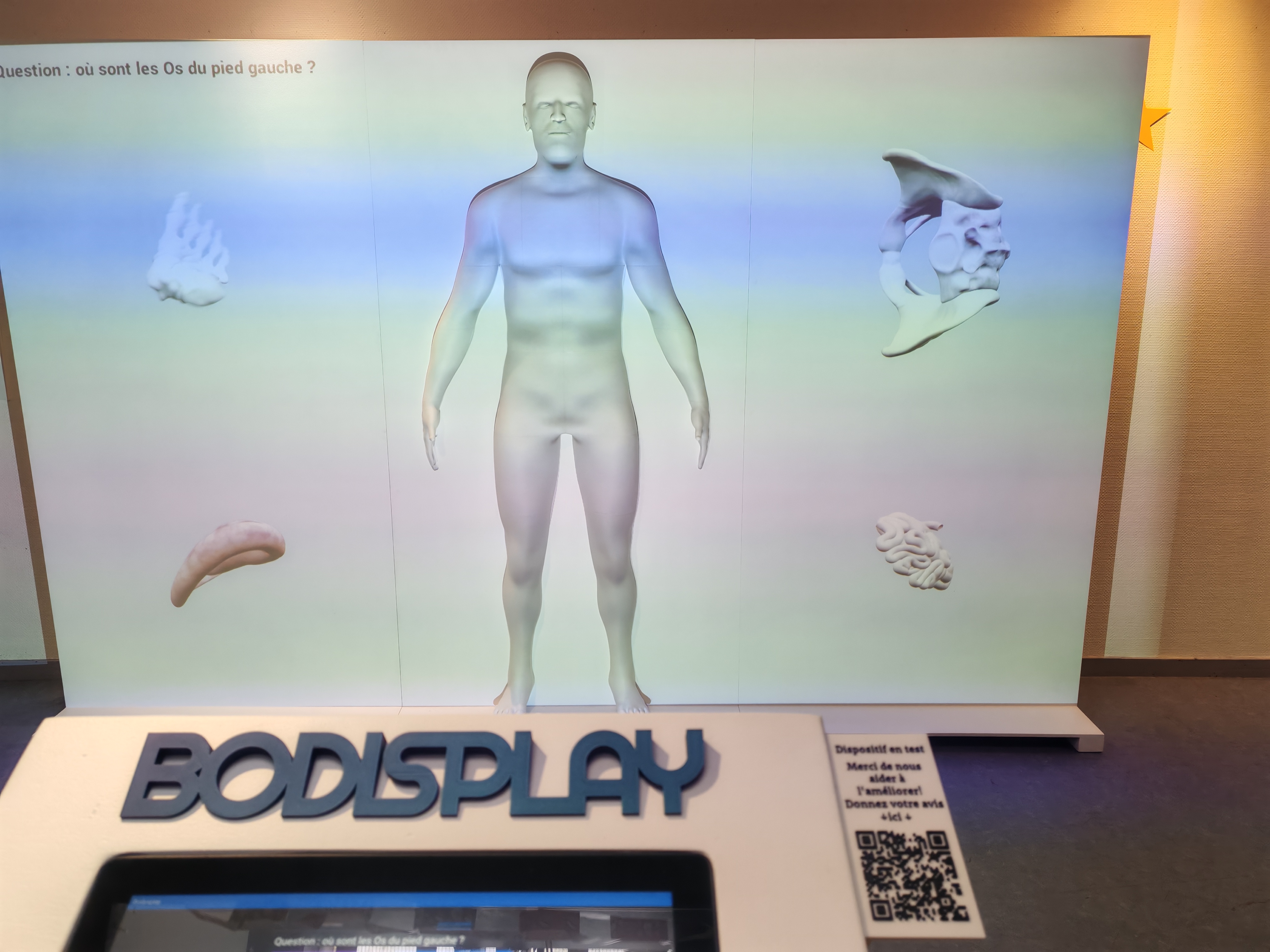 2024 edition : interactive mannequin