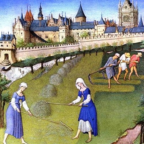 moyen age cycle 4 animation en normandie